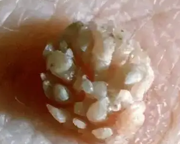 微信图片_20241011173554